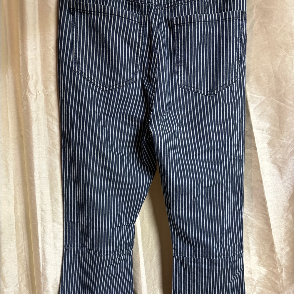 Alter’d State- blue pin stripe pants